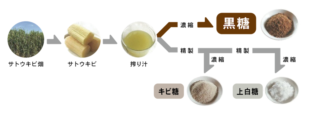 栄養成分の図